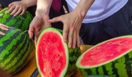 娱乐吃瓜酱中式be学,揭秘中式BE学生的酸甜苦辣